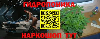 крисы Кандалакша