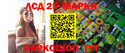 крисы Кандалакша
