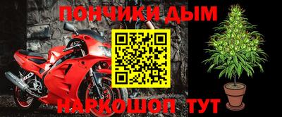 крисы Кандалакша